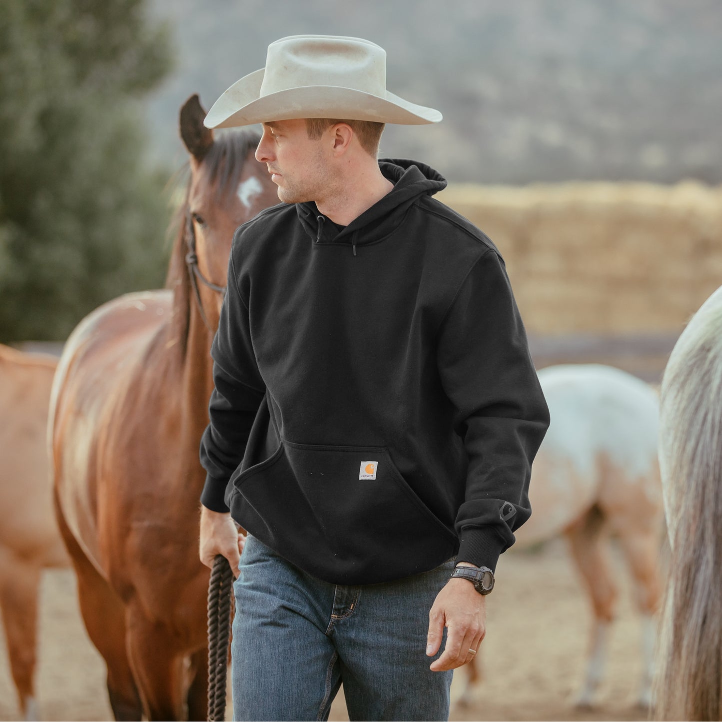 Carhartt® Rain Defender® Paxton Heavyweight Hooded Sweatshirt CT100615